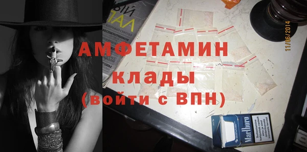 хмурый Осинники
